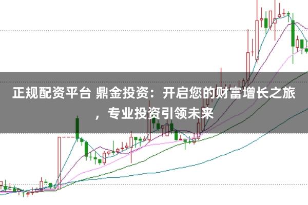 正规配资平台 鼎金投资：开启您的财富增长之旅，专业投资引领未来