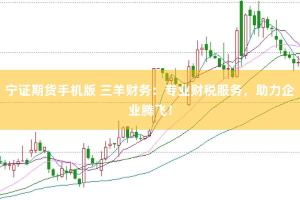 宁证期货手机版 三羊财务：专业财税服务，助力企业腾飞！