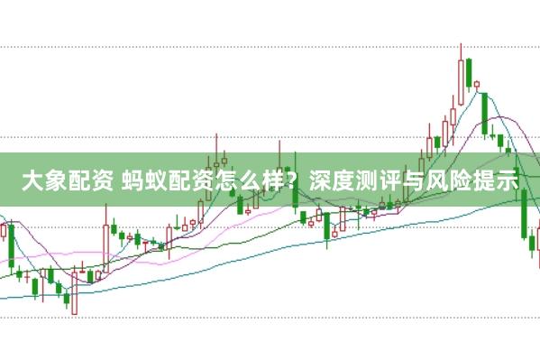 大象配资 蚂蚁配资怎么样？深度测评与风险提示