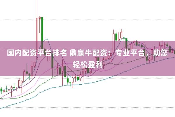 国内配资平台排名 鼎赢牛配资：专业平台，助您轻松盈利