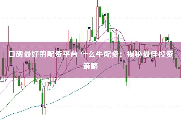 口碑最好的配资平台 什么牛配资：揭秘最佳投资策略