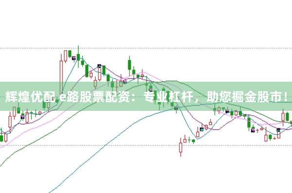 辉煌优配 e路股票配资：专业杠杆，助您掘金股市！