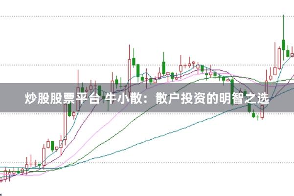 炒股股票平台 牛小散：散户投资的明智之选
