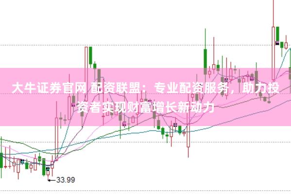 大牛证券官网 配资联盟：专业配资服务，助力投资者实现财富增长新动力