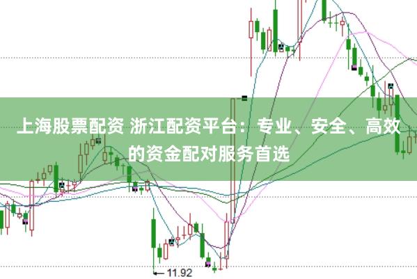 上海股票配资 浙江配资平台：专业、安全、高效的资金配对服务首选