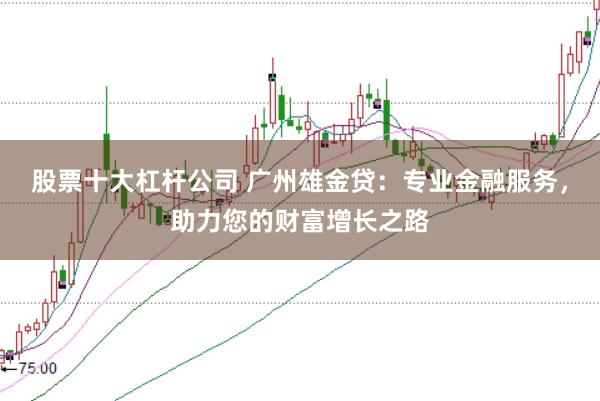 股票十大杠杆公司 广州雄金贷：专业金融服务，助力您的财富增长之路