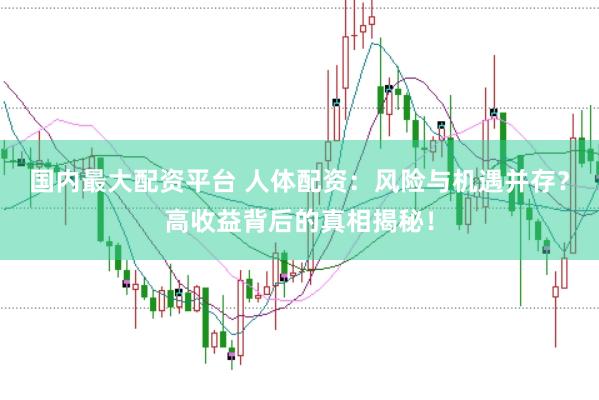国内最大配资平台 人体配资：风险与机遇并存？高收益背后的真相揭秘！
