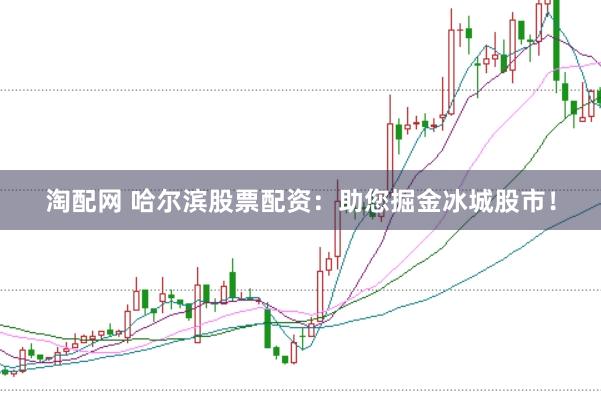淘配网 哈尔滨股票配资：助您掘金冰城股市！