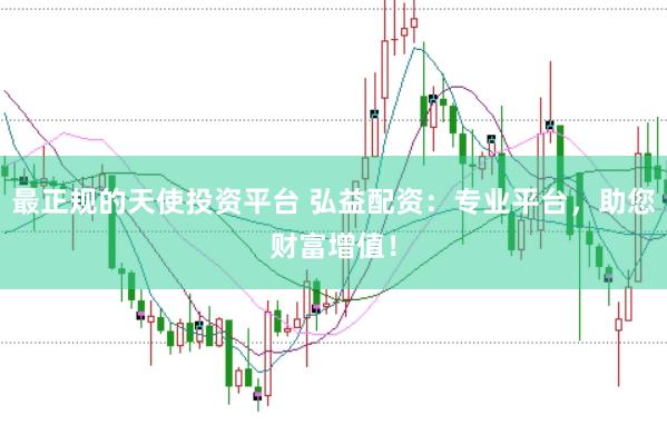 最正规的天使投资平台 弘益配资：专业平台，助您财富增值！
