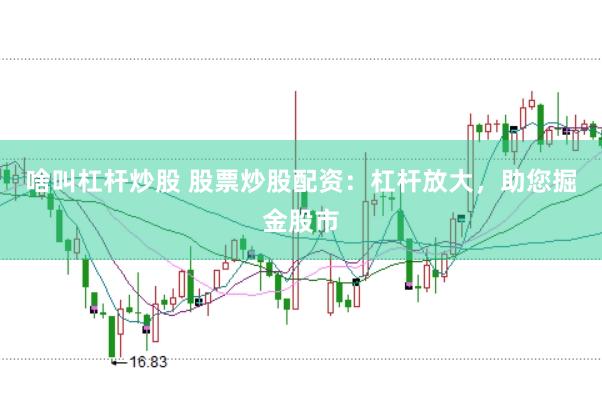 啥叫杠杆炒股 股票炒股配资：杠杆放大，助您掘金股市