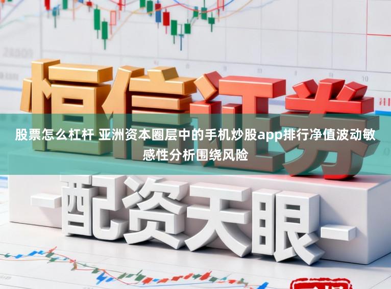 股票怎么杠杆 亚洲资本圈层中的手机炒股app排行净值波动敏感性分析围绕风险
